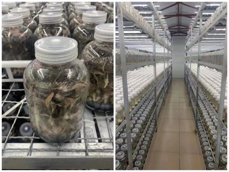 186726fbca9a4b8888287bc1c0d9d5e9 (1).jpeg